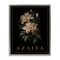 Stupell Industries Antique Azalea Bushel Floating Frame, design by Christopher Giampietro
